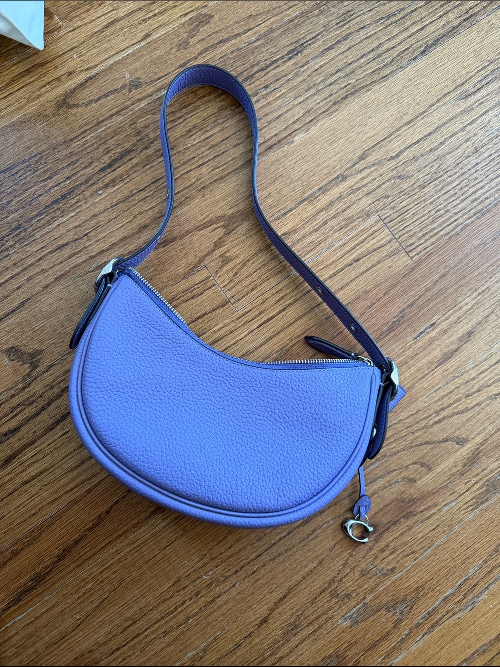 Coach Lavender Crescent Shoulder Bag